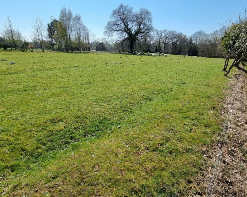 Terrain constructible 1000m² avec etang