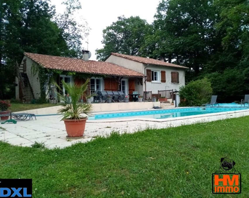 VERNEUIL SUR VIENNE BEAUTIFUL VILLA 160 M²