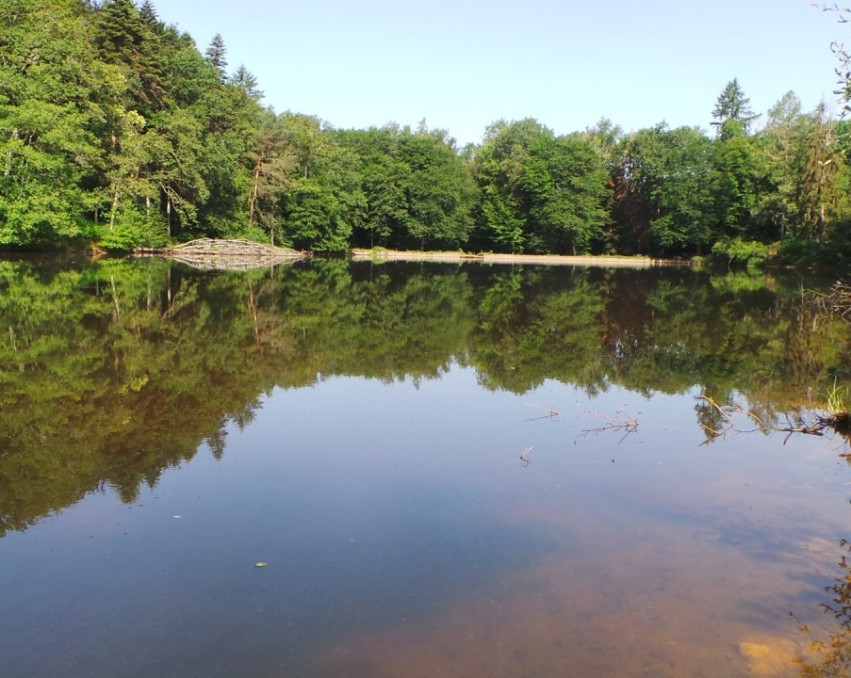 Étang de pêche de 2 hectares avec 3 hectares de terrain