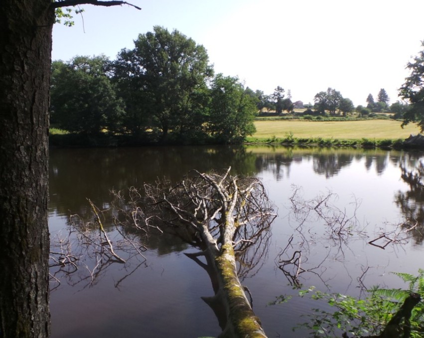 Vismeer van 2Ha met 3 Ha  land