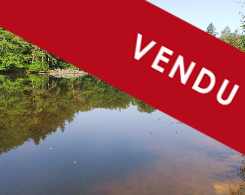 Buildable land of 1000m² with a lake